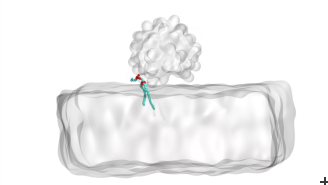 Gold particles behavior with neutrons